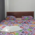 Budak Harbiye