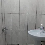 Budak Harbiye